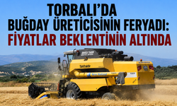 Torbalı Ovası'nda Buğday Krizi: Çiftçi Düşük Fiyata Mahkûm