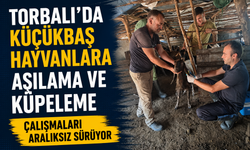 Torbalı’da Sürü Sağlığı İçin Yoğun Mesai