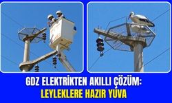 Leyleklere Güvenli Yuva Torbalı'ya Kesintisiz Elektrik