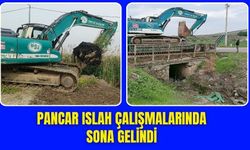 Pancar'da taşkın riskini azaltacak çalışmada sona gelindi