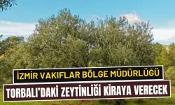 Torbalı'da Vakıf Arazileri Kiraya Verilecek