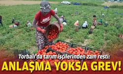 Tarım işçileri yevmiyesinde yeni karar: Grev uyarısı geldi