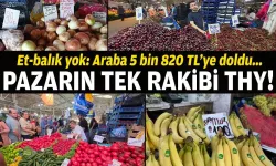 Pazarın tek rakibi THY!