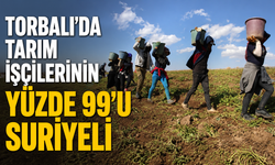 Torbalı'da Çiftçi Türk İşçiye Hasret Kaldı