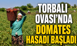 Kırmızı altında hasat vakti