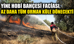 Yine hobi bahçesi, yine yangın