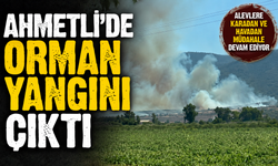 Ahmetli'de orman yangını paniği