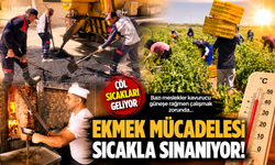 Çöl sıcaklarında ekmek mücadelesi