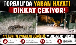 Torbalı'da Yaban Hayatı Dikkat Çekiyor
