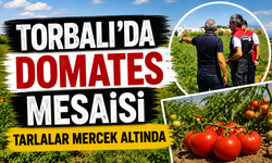 Torbalı'da Tarlalar Mercek Altında