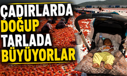 Mevsimlik işe ömürlük çile