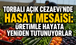 Torbalı Cezaevi'nde Hasat Vakti