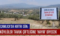 Çamlıca'da Kritik Gün: Köylüler Tavuk Çiftliğine 'Hayır' Diyecek