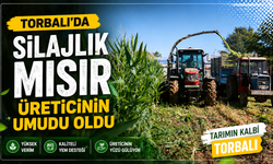Ovada bu sezon üreticinin umudu oldu