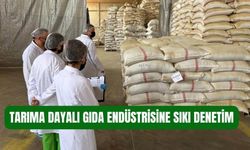 Tarıma dayalı gıda endüstrisine sıkı denetim