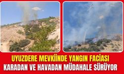 Torbalı'da orman yangını: Ekipler seferber oldu