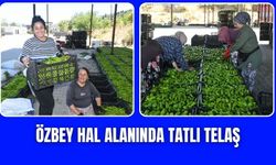 Özbey Hal Alanı üreticinin yeni gözdesi oldu