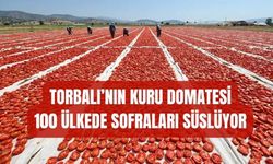 100 Ülkeye Kuru Domates İhracatı