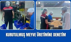 Kurutulmuş meyve üreticilerine sıkı denetim