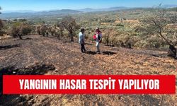 Yangının yaraları sarılıyor: Hasar tespit çalışmaları tamamlandı
