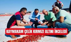 Coğrafi işaretli Torbalı domatesine Kaymakam Çelik'ten ziyaret