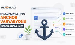 Backlink Paketinde Anchor Varyasyonu Neden Önemlidir?