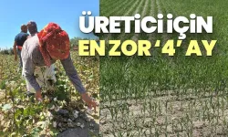 Üreticinin En Zor Dört Ayı: "Toprağa Sürekli Para Harcıyoruz"