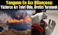 Yangında Arı Kovanları Kül Oldu: 500 Bin Liralık Zarar, Kendisi de Yaralandı