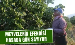 Bardacık, bu yıl da Çapak’ın umudu