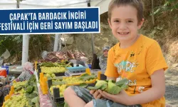 Bardacık inciri için festival zamanı