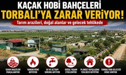 Kaçak hobi bahçeleri yüzünden Torbalı’yı nasıl bir tehlike bekliyor?