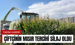 çiftçi tercihini silajdan yana kullandı