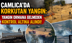 Çamlıca’da Yangın Paniği: Ekipler Ormana Ulaşmadan Önünü Kesti