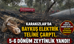 Karakızlar’da Zeytinlik Yangını: 5-6 Dönümlük Alan Zarar Gördü