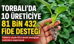 Torbalı’da 10 üreticiye 81 bin 432 fide desteği