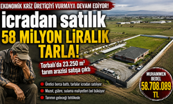 Torbalı’da 58 Milyon Liralık Tarım Arazisi İcradan Satılacak