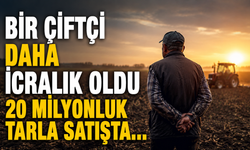 Torbalı’da 19,7 milyon liralık tarla icradan satışa çıktı