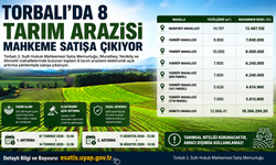 Torbalı'da 8 Tarım Arazisi Mahkeme Satışa Çıkıyor