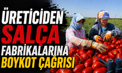 Üreticiden salça fabrikalarına boykot çağrısı