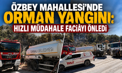 Özbey Mahallesi’nde Orman Yangını: Hızlı Müdahale Faciayı Önledi
