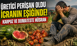 Torbalı’da üreticinin umudu tarlada kaldı: Domates ve karpuzda büyük zarar