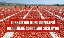Kurutmalık domates mesaisi sürüyor
