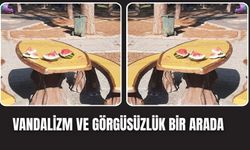 Korulukta pes dedirten görüntü: Karpuzu yediler, çöplerini bıraktılar