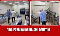 Torbalı’da gıda fabrikalarına denetim