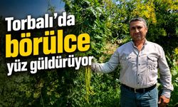 Torbalı Ovası’nda börülce hasadı başladı