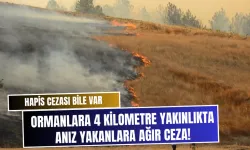 Hapis cezası bile var