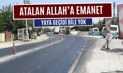 AT​​ALAN’DA TEHLİKELİ YOL! “YAYA GEÇİDİ BİLE YOK”