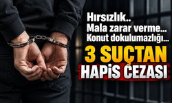 3 Suçtan Hapis Cezası Aldı! Karar İlanen Tebliğ Edildi