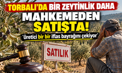 Torbalı’da 6 bin 675 metrekarelik zeytinlik mahkeme kararıyla satışa çıkarıldı