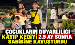 Çocukların duyarlılığı kayıp kediyi 2,5 ay sonra yuvasına kavuşturdu